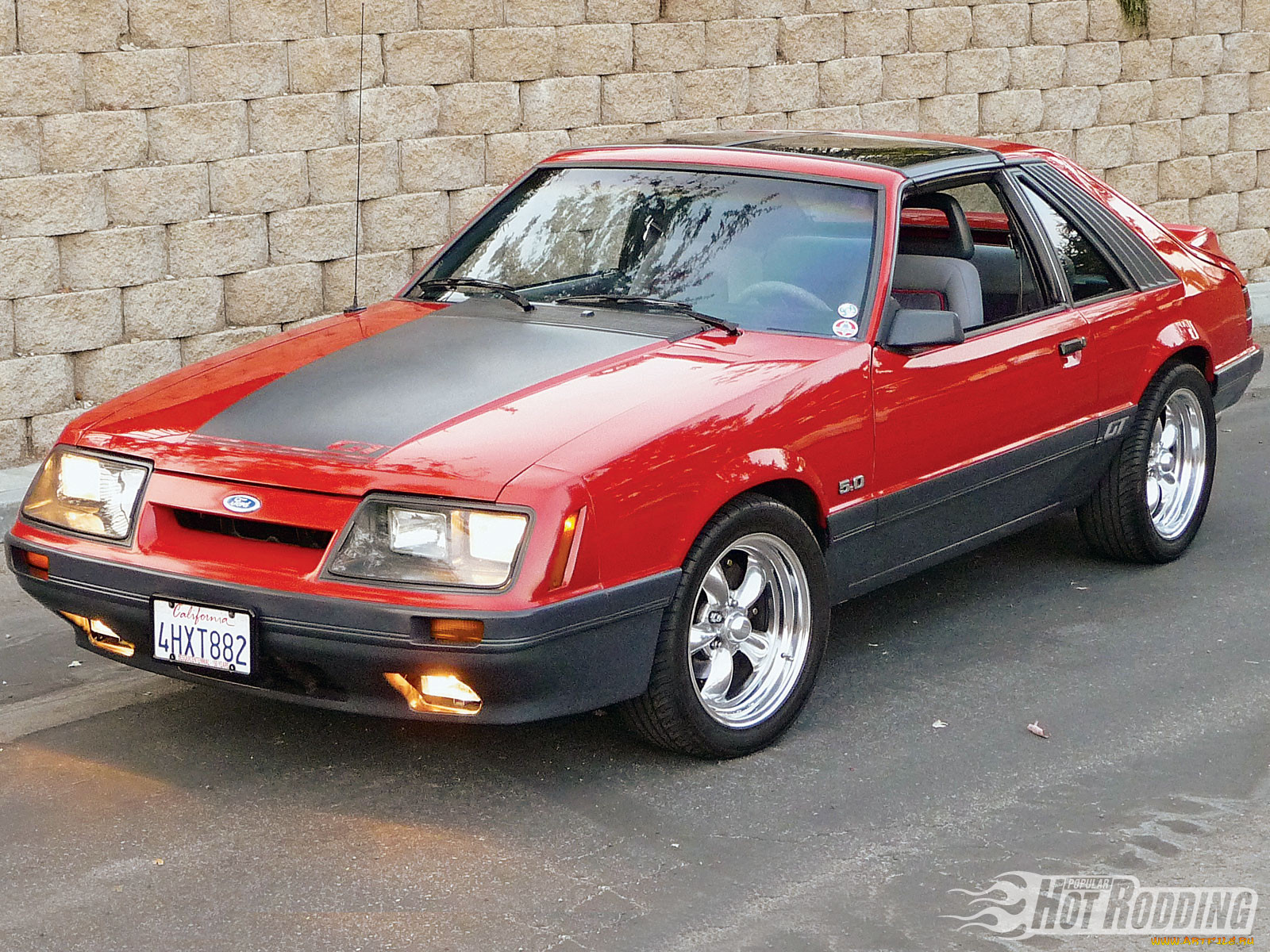, mustang